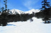 乗鞍岳バックカントリーINゴールデンウイーク 3.jpg